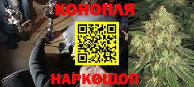 spice Краснознаменск