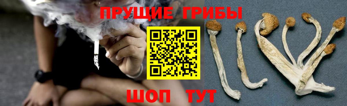 Галлюциногенные грибы Psilocybine cubensis  Вход с VPN  Ирбит 